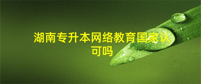 湖南專升本網(wǎng)絡(luò)教育國(guó)家認(rèn)可嗎